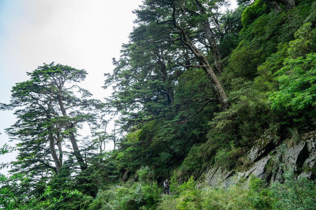 180608-0610 [百岳] 能高主峰、卡賀爾山、尾上山