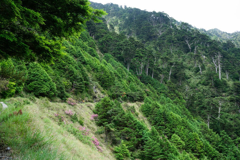 180608-0610 [百岳] 能高主峰、卡賀爾山、尾上山