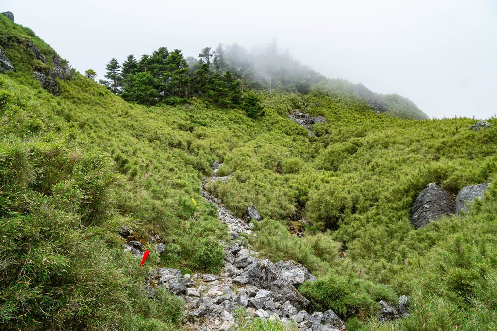 180608-0610 [百岳] 能高主峰、卡賀爾山、尾上山