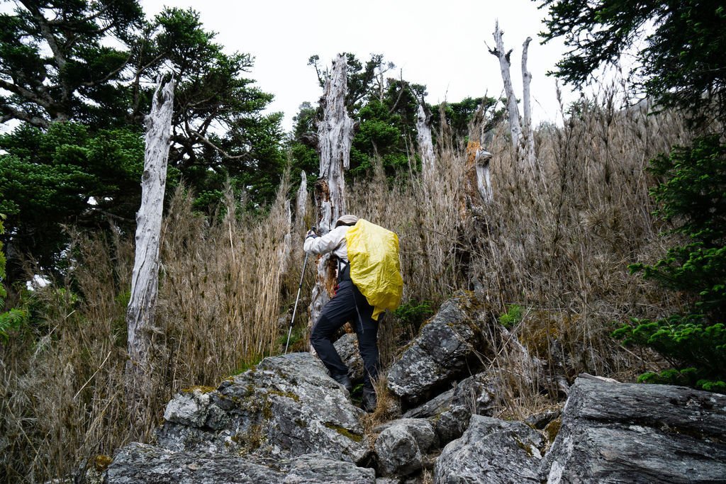 180608-0610 [百岳] 能高主峰、卡賀爾山、尾上山