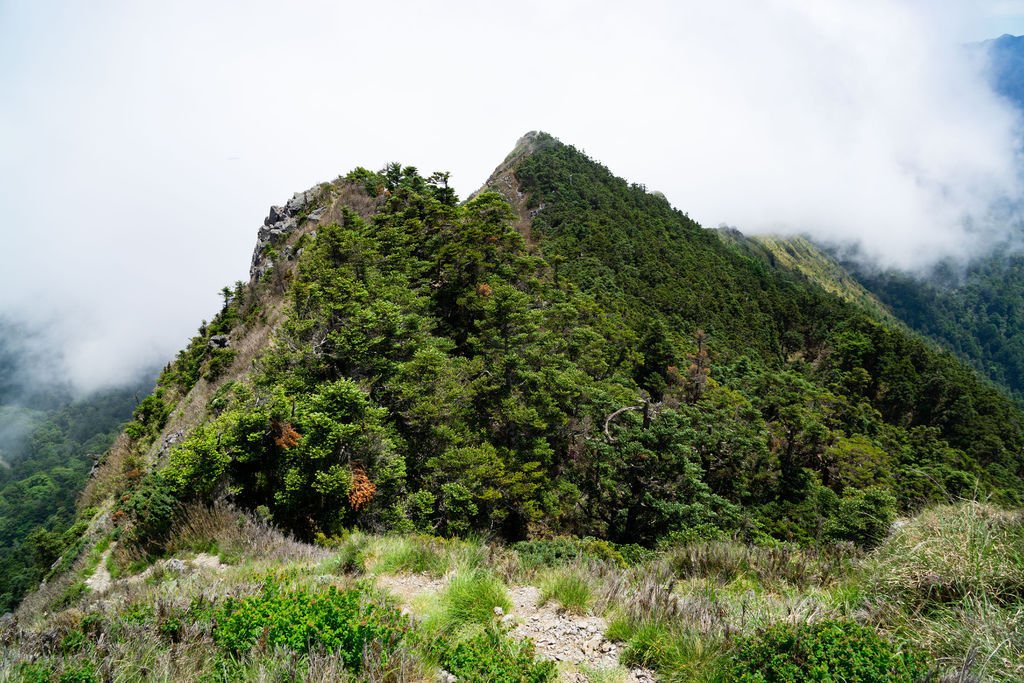 180608-0610 [百岳] 能高主峰、卡賀爾山、尾上山