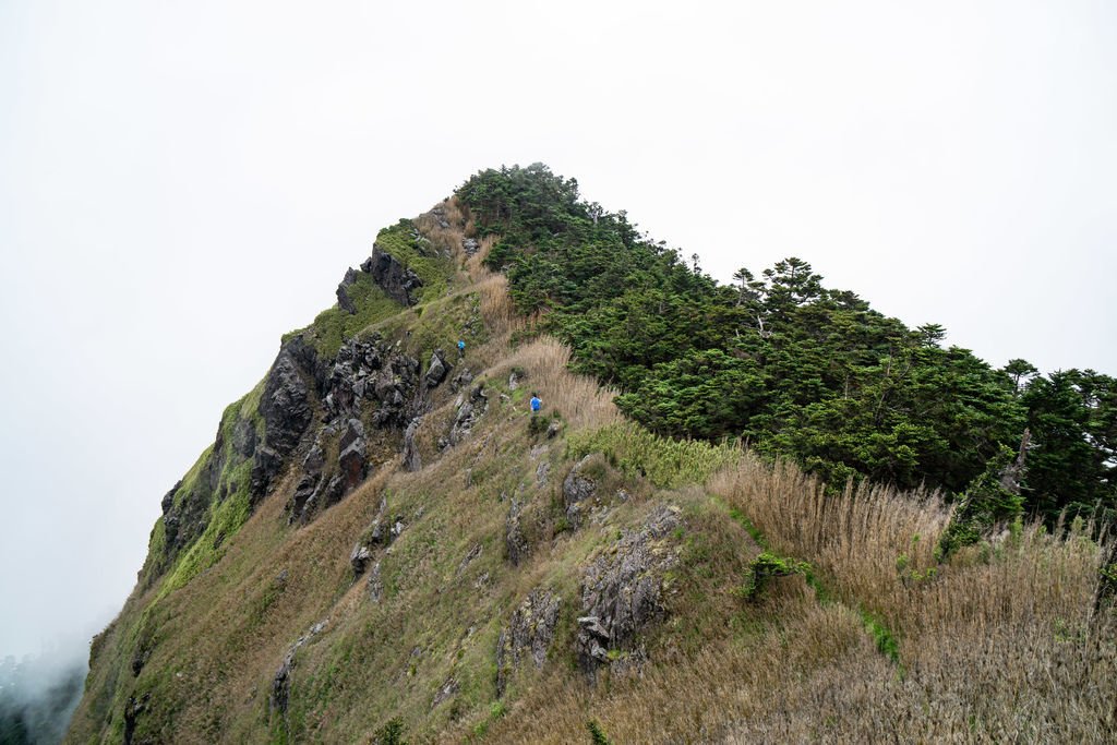 180608-0610 [百岳] 能高主峰、卡賀爾山、尾上山