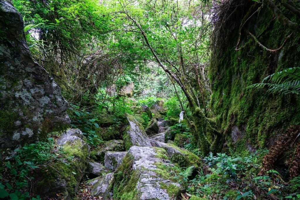 180608-0610 [百岳] 能高主峰、卡賀爾山、尾上山