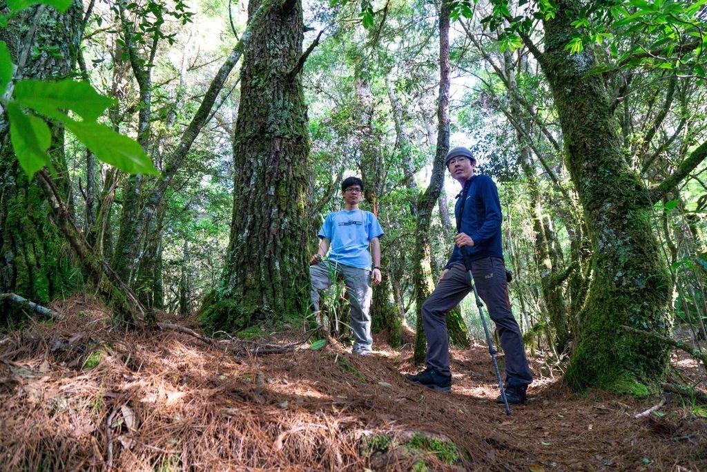 180608-0610 [百岳] 能高主峰、卡賀爾山、尾上山