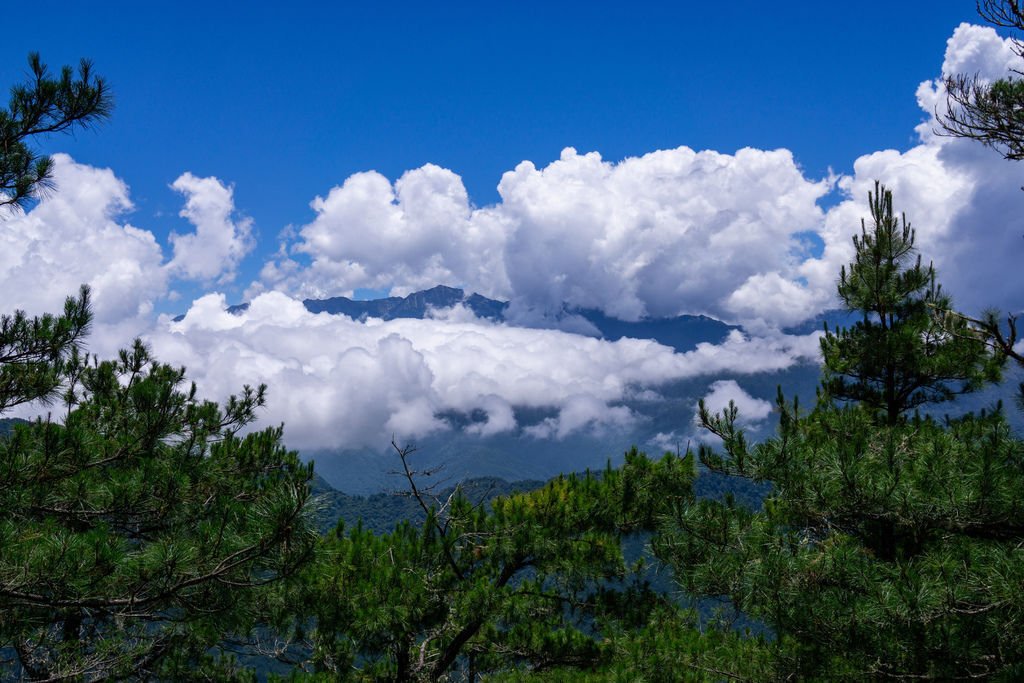 180728-0729 [百岳] 雪山主東下翠池+北稜角