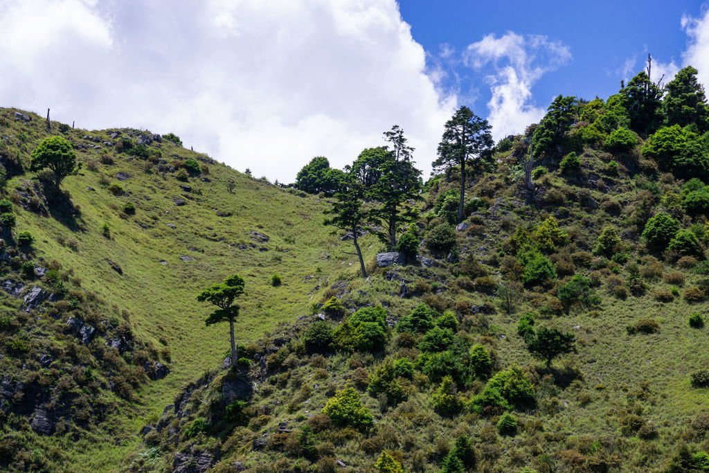 180728-0729 [百岳] 雪山主東下翠池+北稜角