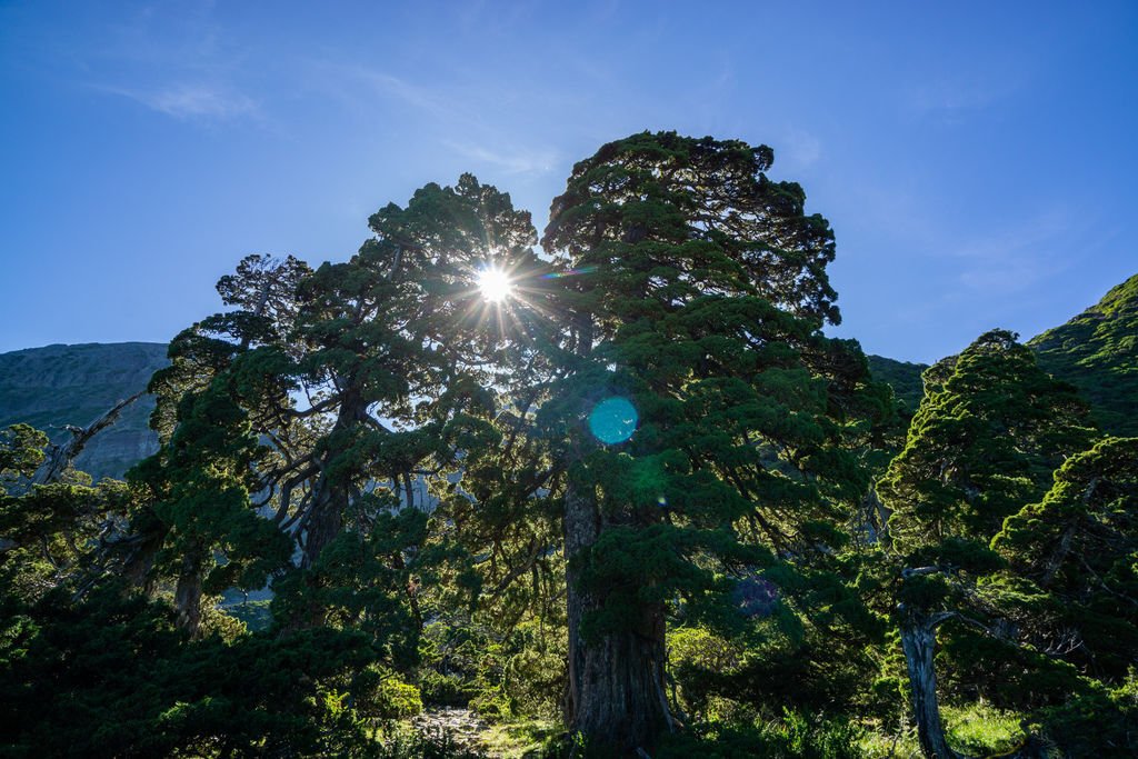 180728-0729 [百岳] 雪山主東下翠池+北稜角