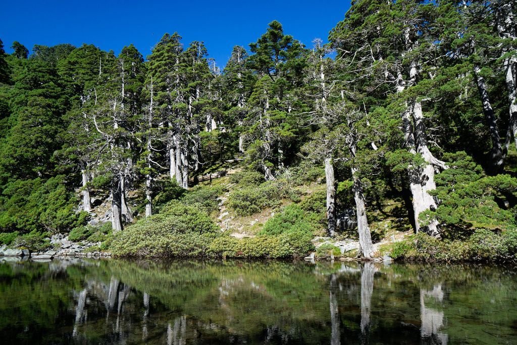 180728-0729 [百岳] 雪山主東下翠池+北稜角