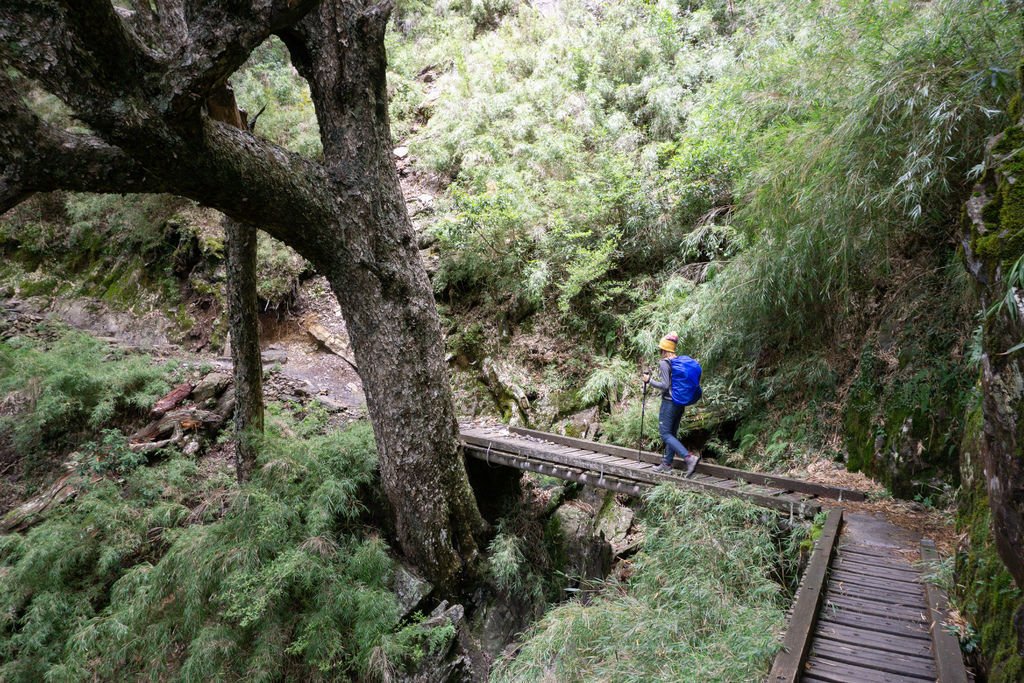 180805-0806 [百岳] 玉山主峰 5th