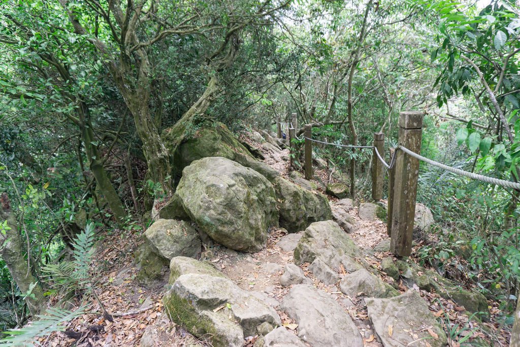 200510 [南化] 王爺崙山 (龍麟山)