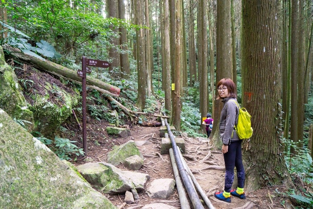 201121 [南庄] 加里山 5th 鹿場登山口往返