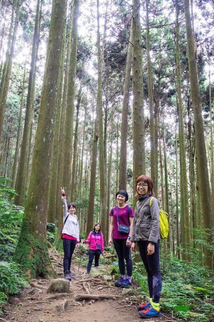 201121 [南庄] 加里山 5th 鹿場登山口往返