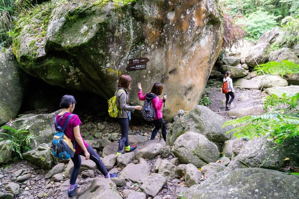 201121 [南庄] 加里山 5th 鹿場登山口往返