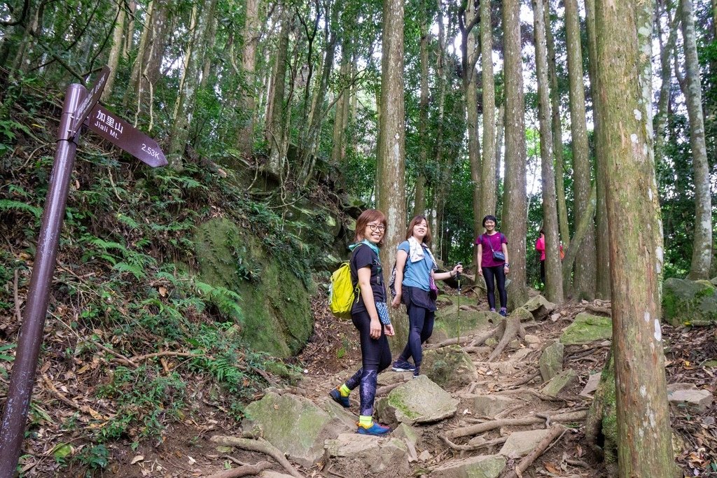 201121 [南庄] 加里山 5th 鹿場登山口往返