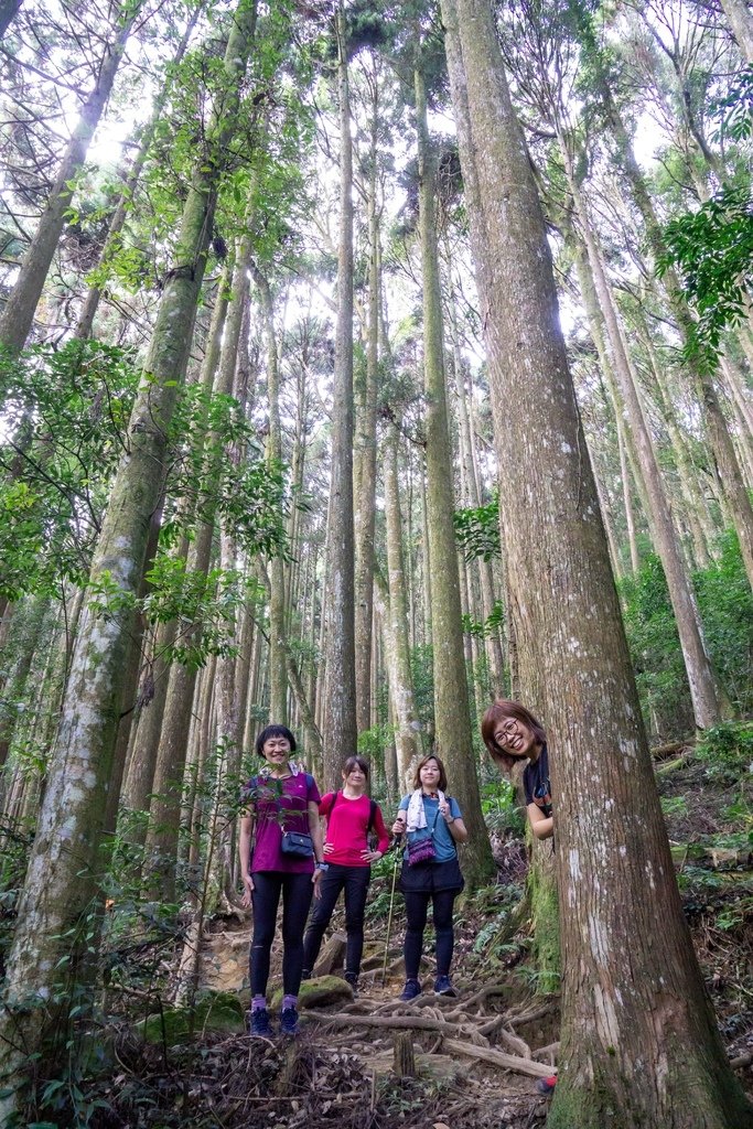 201121 [南庄] 加里山 5th 鹿場登山口往返