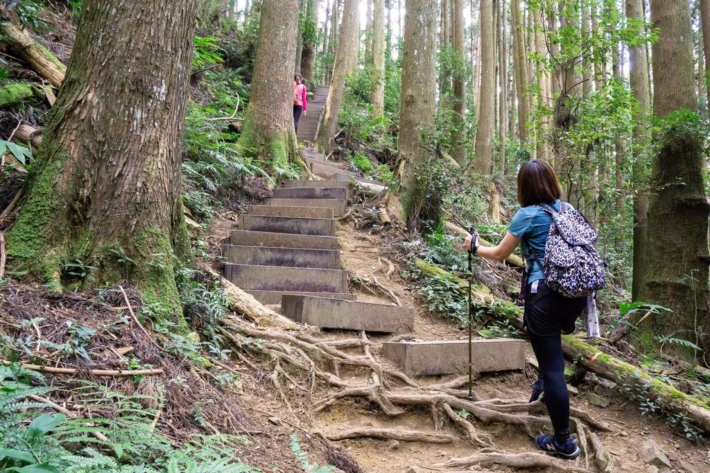 201121 [南庄] 加里山 5th 鹿場登山口往返