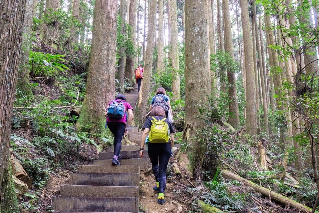 201121 [南庄] 加里山 5th 鹿場登山口往返