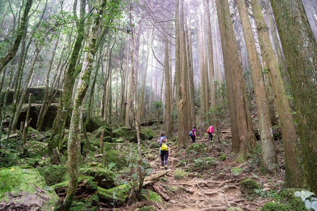 201121 [南庄] 加里山 5th 鹿場登山口往返