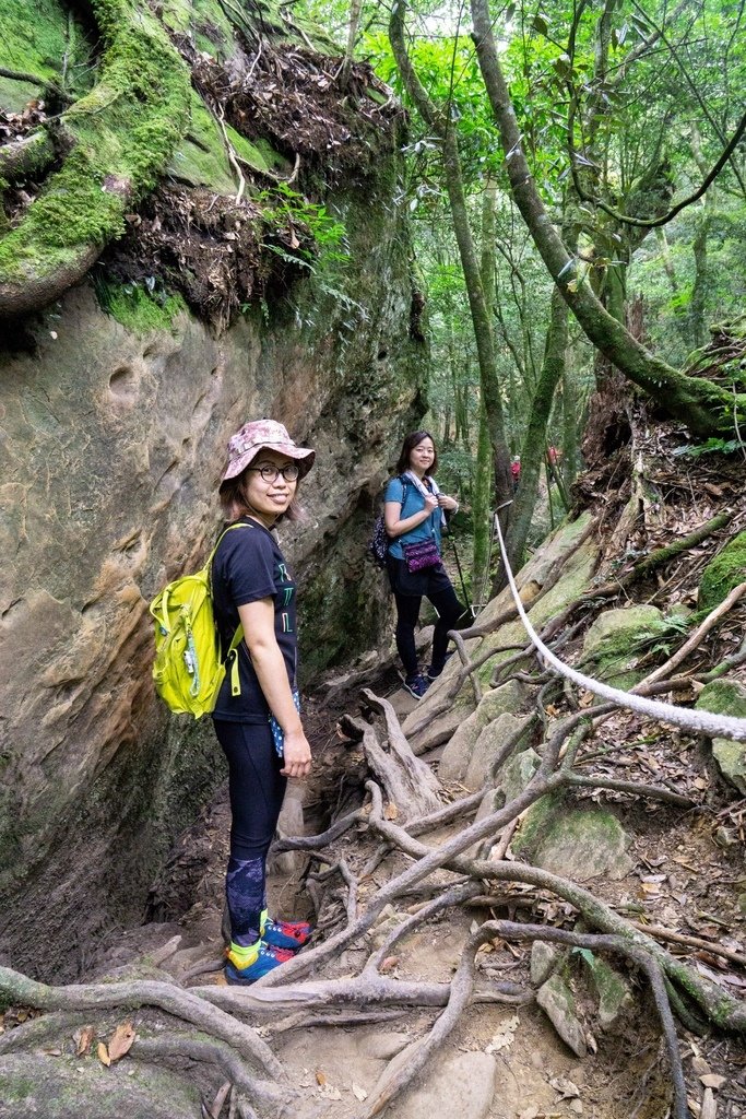 201121 [南庄] 加里山 5th 鹿場登山口往返