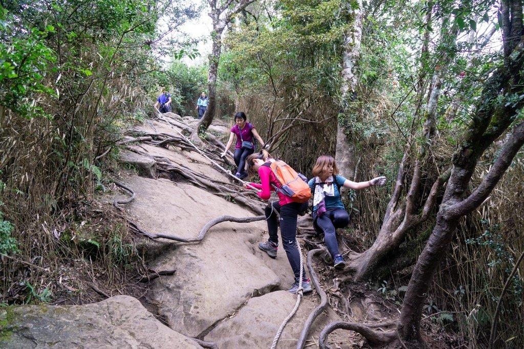 201121 [南庄] 加里山 5th 鹿場登山口往返