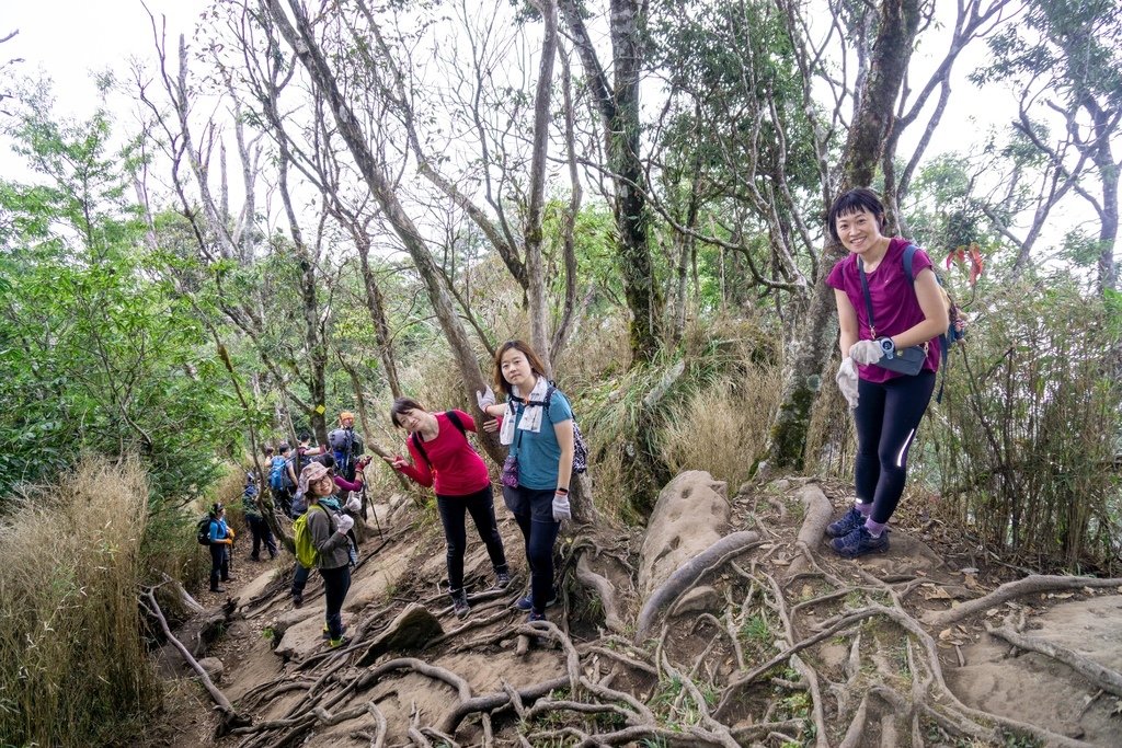 201121 [南庄] 加里山 5th 鹿場登山口往返