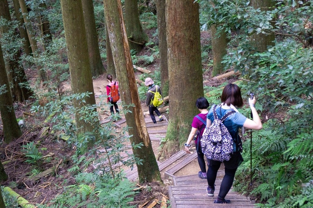 201121 [南庄] 加里山 5th 鹿場登山口往返