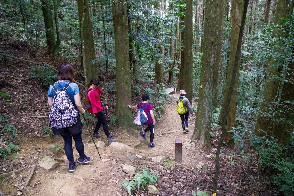 201121 [南庄] 加里山 5th 鹿場登山口往返