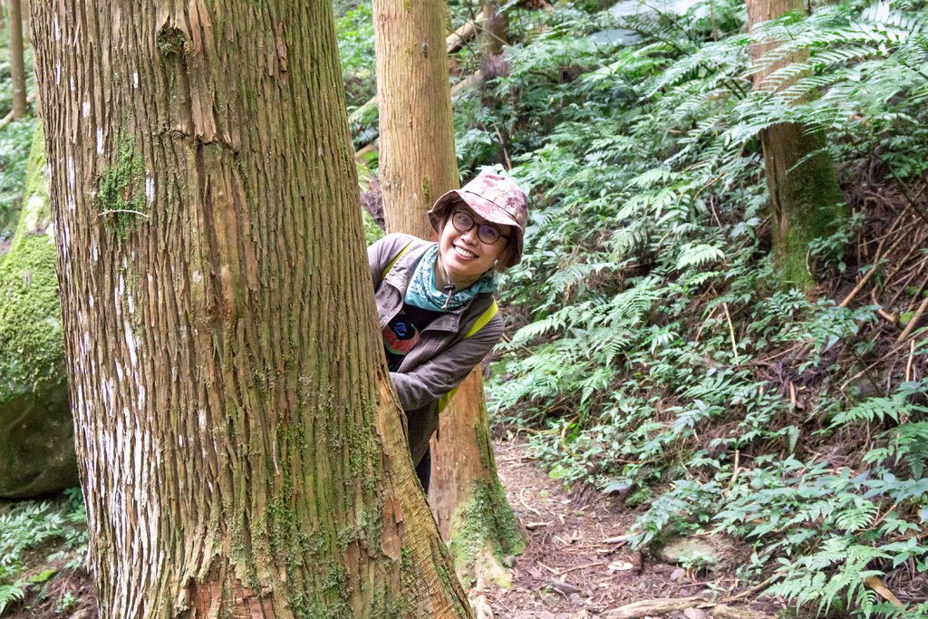 201121 [南庄] 加里山 5th 鹿場登山口往返