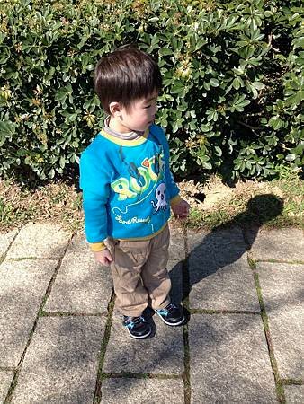 IMG_8601.jpg
