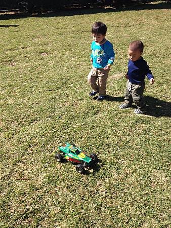 IMG_8614.jpg