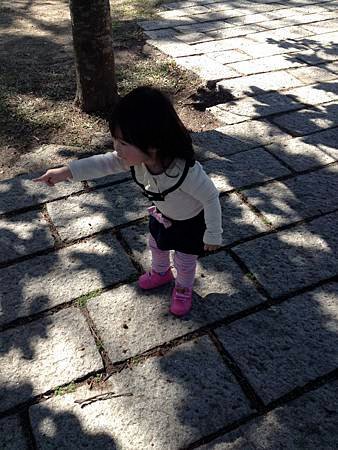 IMG_8620.jpg