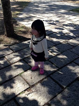 IMG_8621.jpg