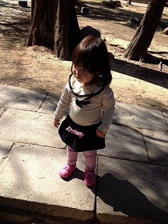 IMG_8623.jpg