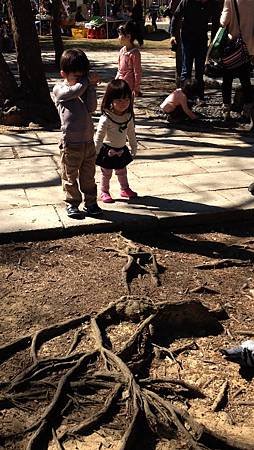IMG_8638.MOV