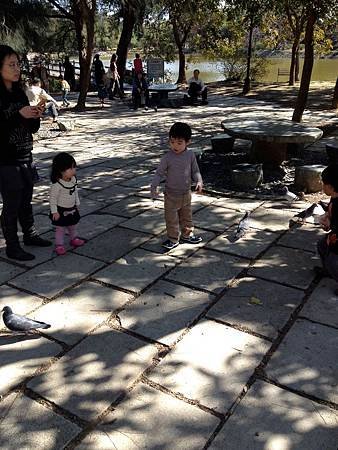 IMG_8639.jpg