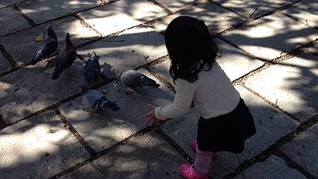 IMG_8643.MOV