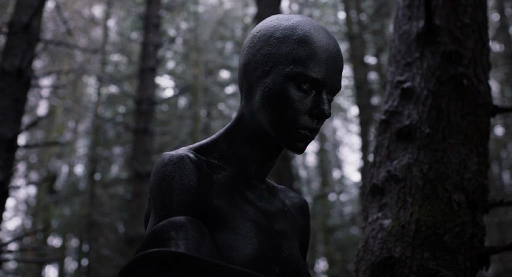 螳螂捕蟬，黃雀在後《肌膚之侵》（Under the Skin