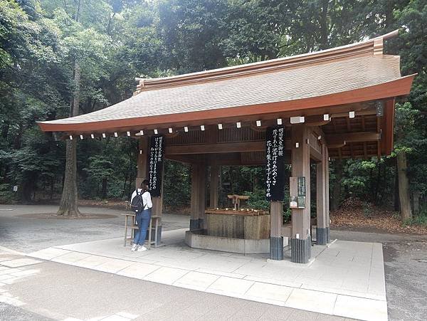 DSCN9815A.jpg