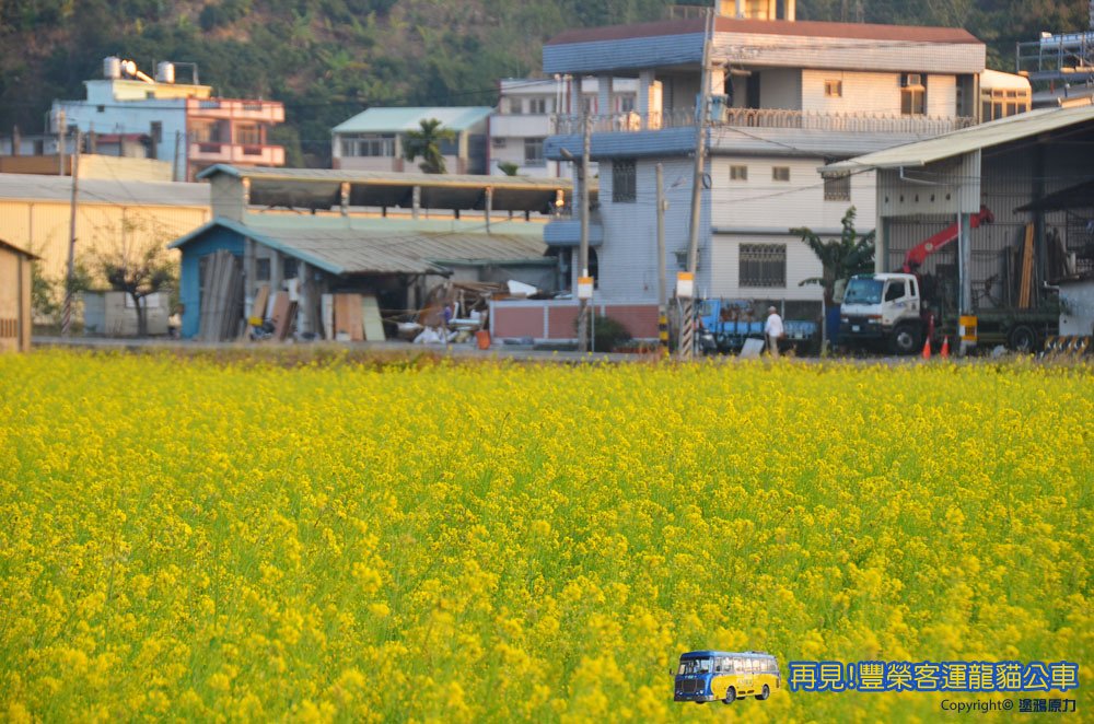 DSC_5086拷貝拷貝