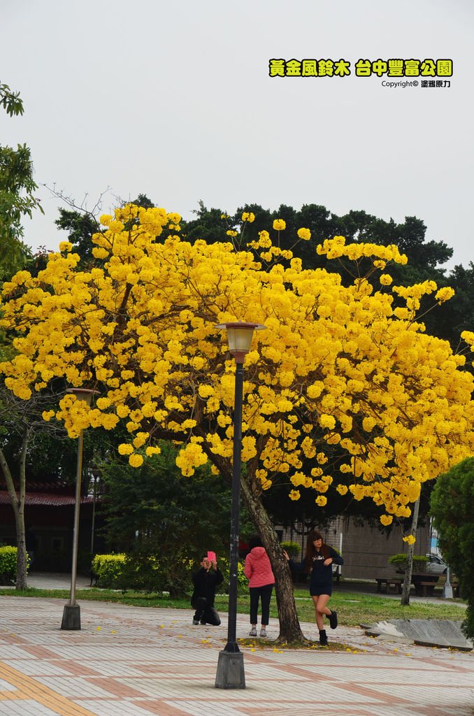 DSC_7854拷貝拷貝