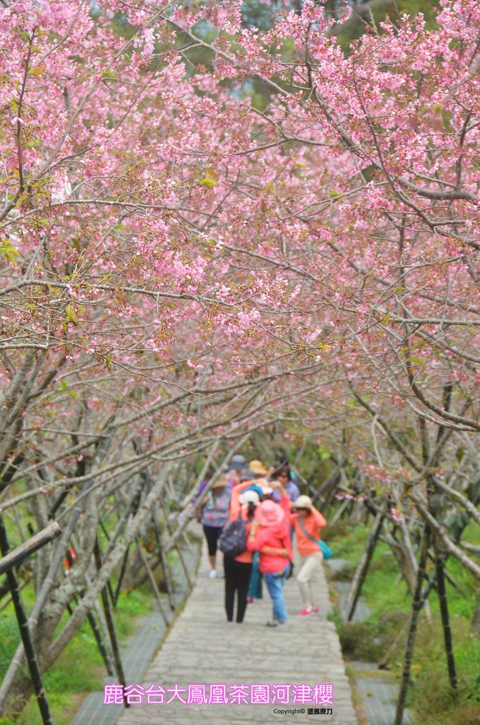 DSC_2917拷貝拷貝