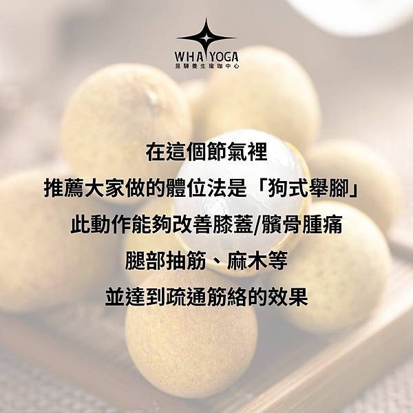 立冬