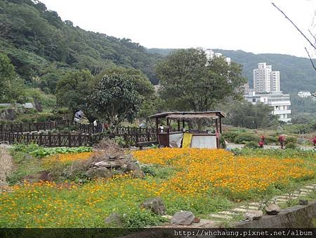 1020201山空泉一遊DSC00533 (30)