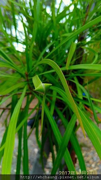 P_20171228_102958_vHDR_Auto