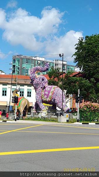 P_20180509_100344_vHDR_On