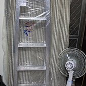 IMG_1537.JPG