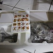 IMG_1547.JPG