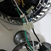 IMG_1561.JPG