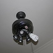 IMG_1572.JPG