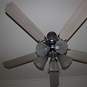 IMG_1581.JPG